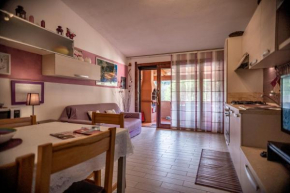 Pinus Village Apartments 2